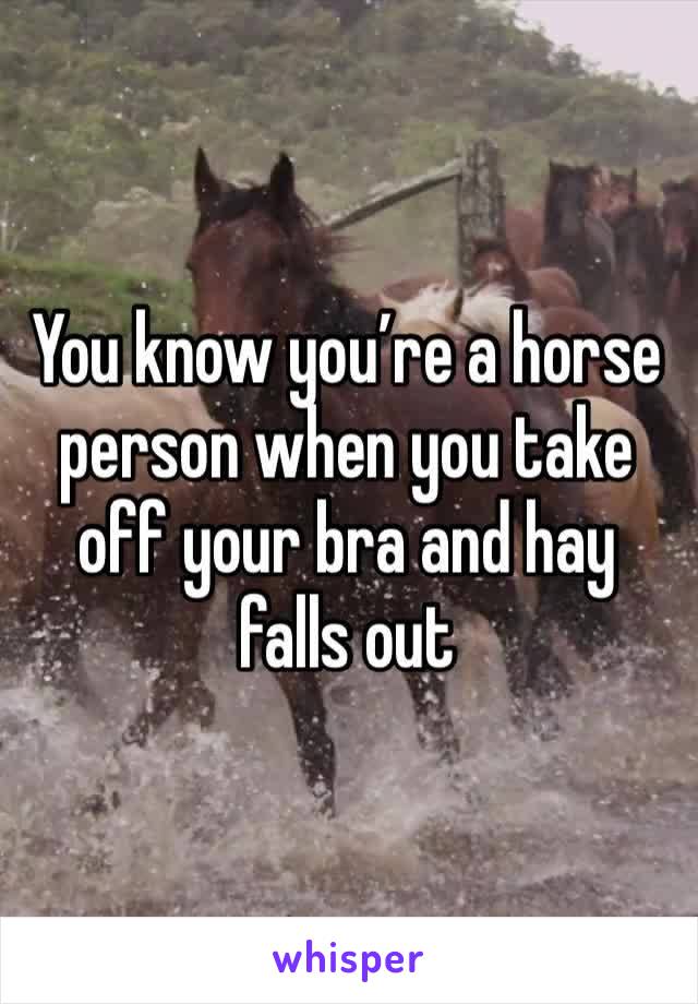 You know you’re a horse person when you take off your bra and hay falls out