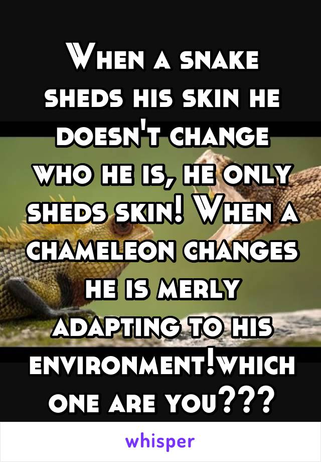 When a snake sheds his skin he doesn't change who he is, he only sheds skin! When a chameleon changes he is merly adapting to his environment!which one are you???