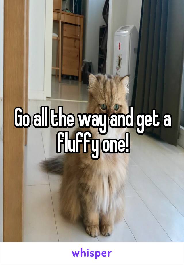 Go all the way and get a fluffy one!