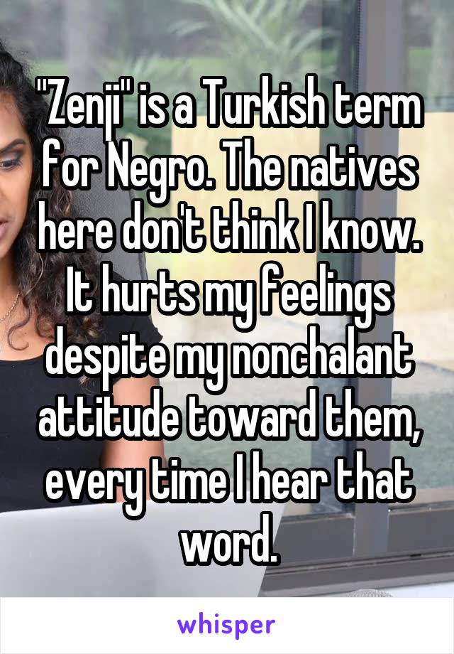"Zenji" is a Turkish term for Negro. The natives here don't think I know. It hurts my feelings despite my nonchalant attitude toward them, every time I hear that word.
