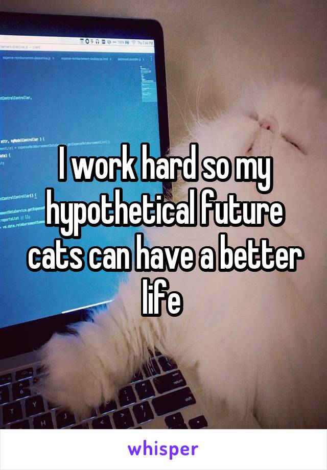 I work hard so my hypothetical future cats can have a better life 