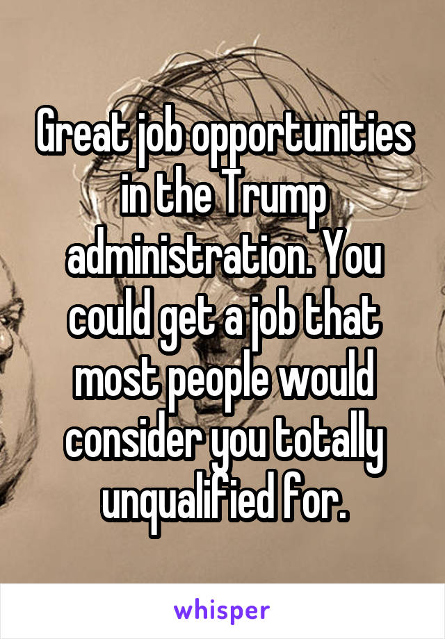 Great job opportunities in the Trump administration. You could get a job that most people would consider you totally unqualified for.