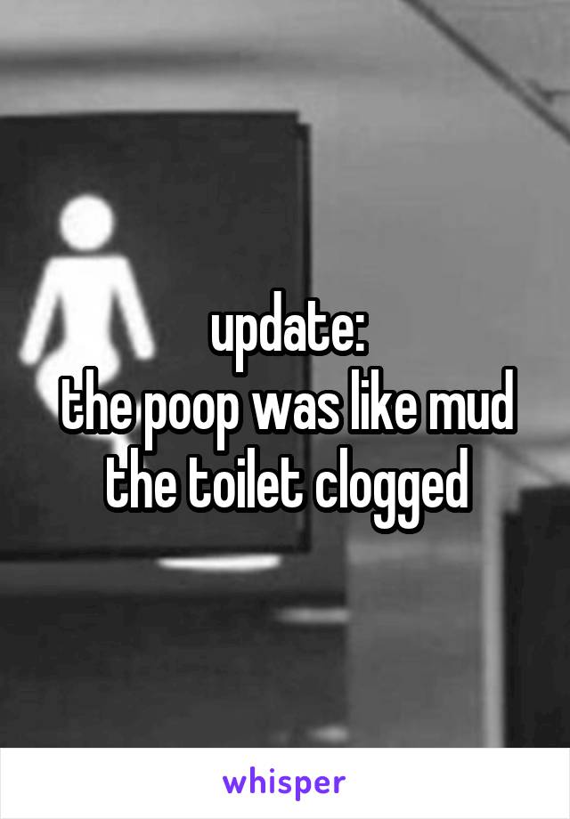 update:
the poop was like mud
the toilet clogged