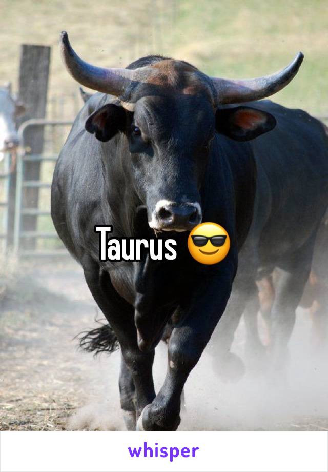 Taurus 😎