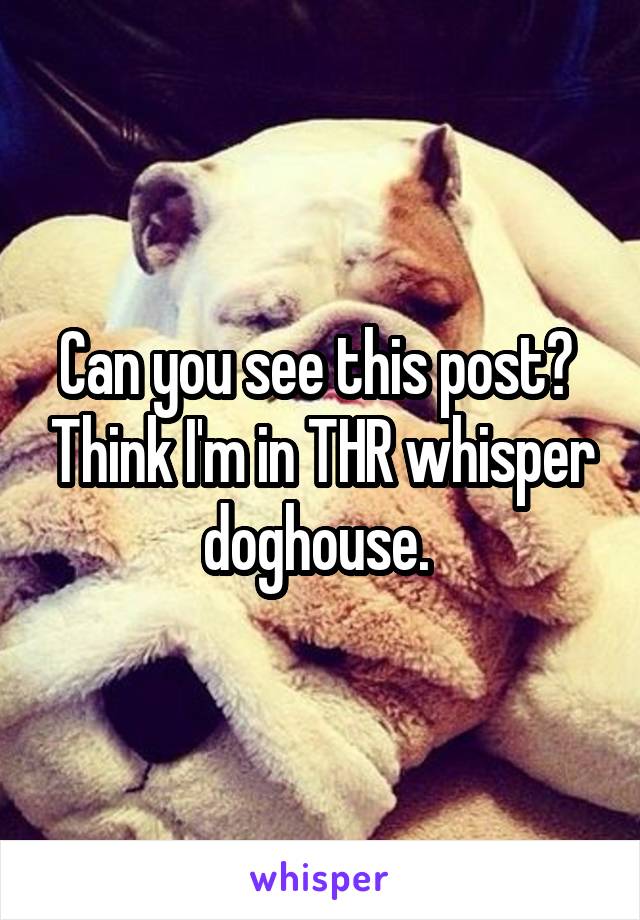 Can you see this post?  Think I'm in THR whisper doghouse. 