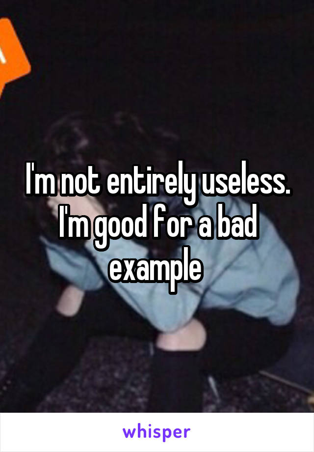 I'm not entirely useless. I'm good for a bad example 