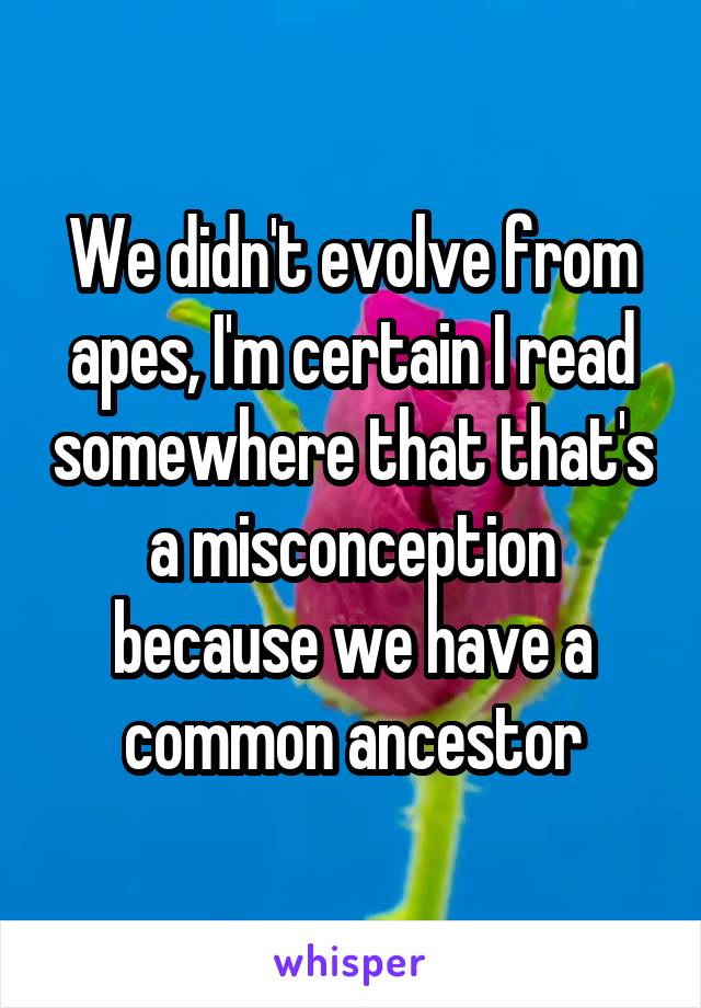 We didn't evolve from apes, I'm certain I read somewhere that that's a misconception because we have a common ancestor