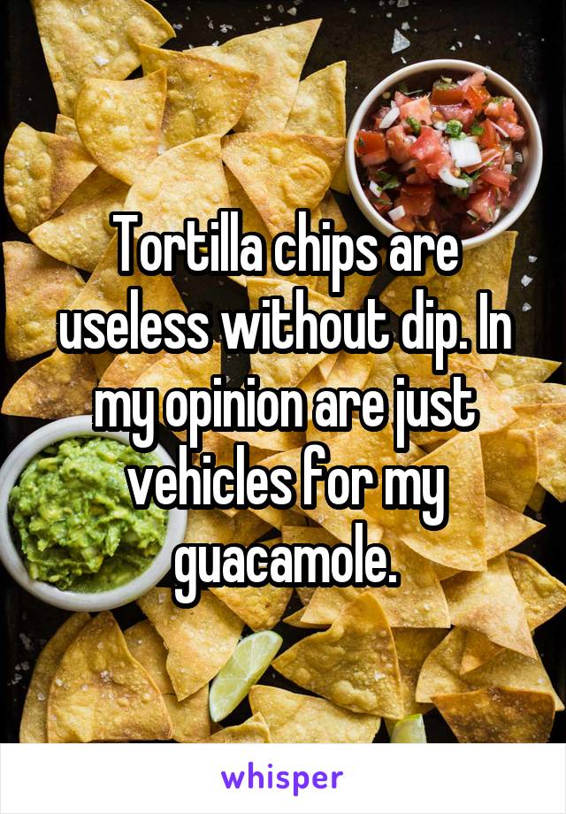 Tortilla chips are useless without dip. In my opinion are just vehicles for my guacamole.