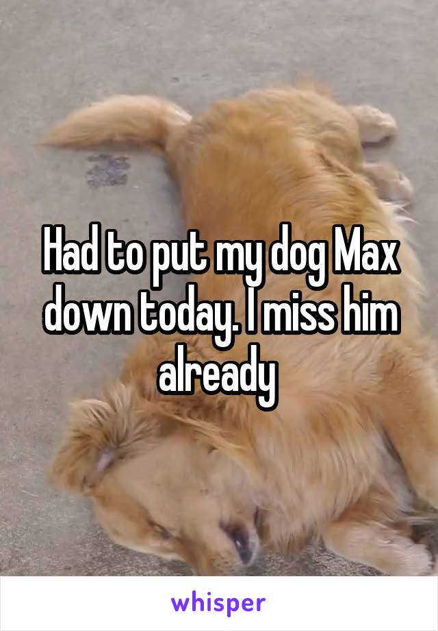 Had to put my dog Max down today. I miss him already 