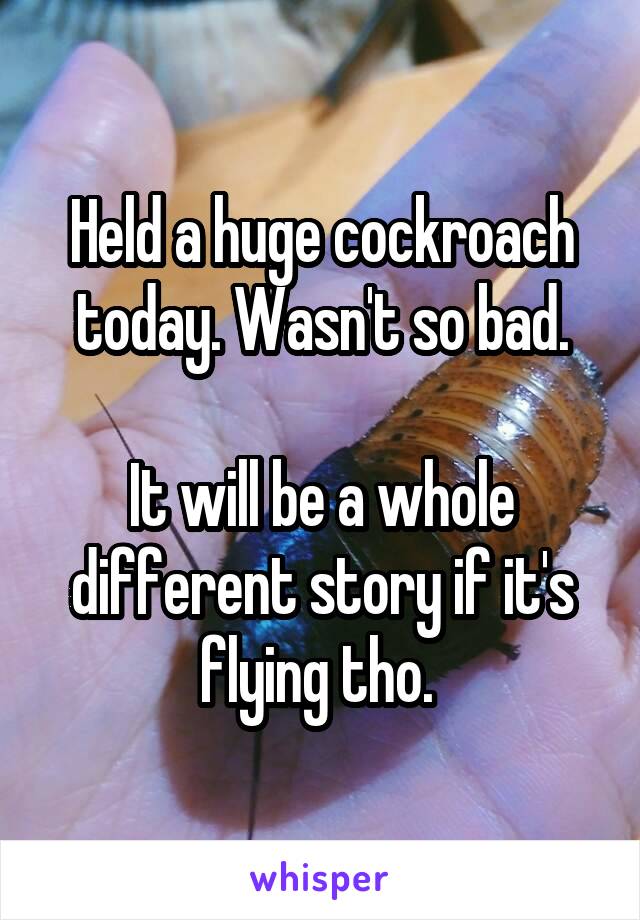 Held a huge cockroach today. Wasn't so bad.

It will be a whole different story if it's flying tho. 