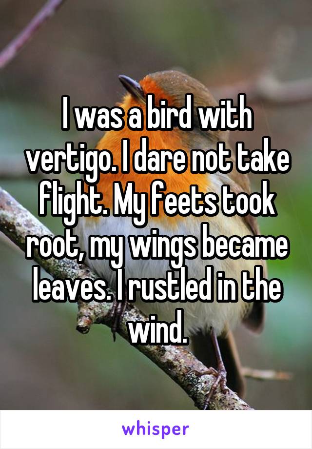 I was a bird with vertigo. I dare not take flight. My feets took root, my wings became leaves. I rustled in the wind.