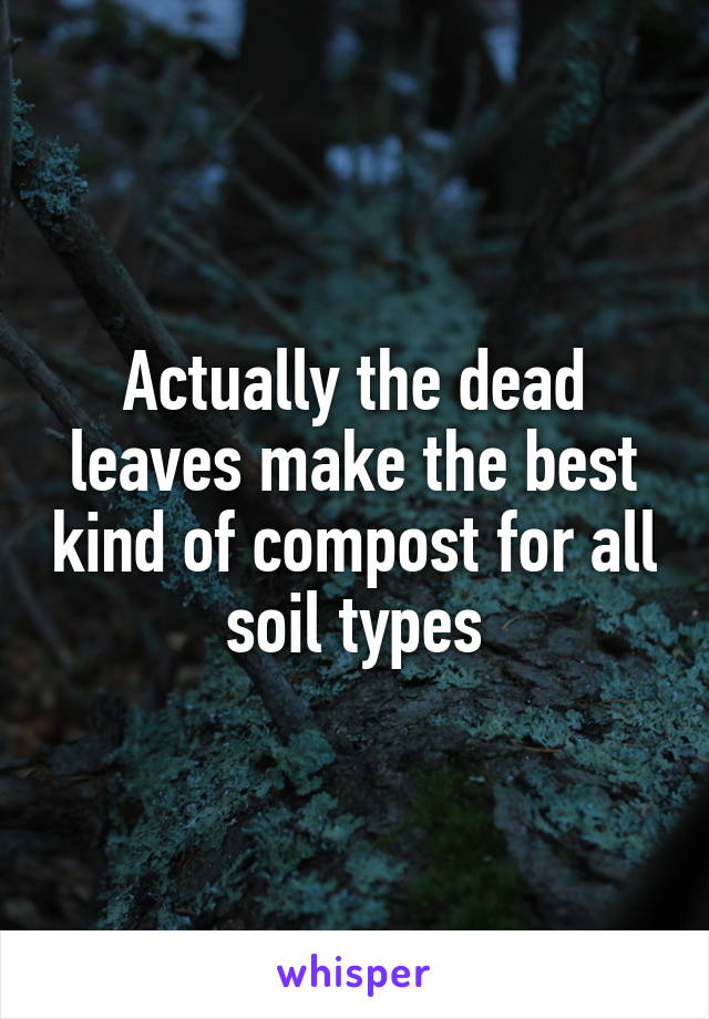 Actually the dead leaves make the best kind of compost for all soil types