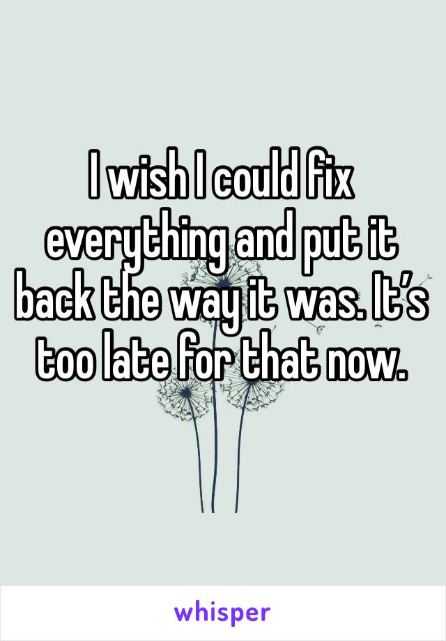 I wish I could fix everything and put it back the way it was. It’s too late for that now. 