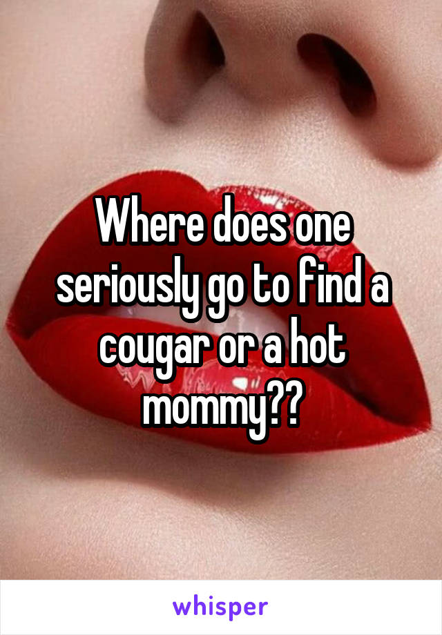 Where does one seriously go to find a cougar or a hot mommy??