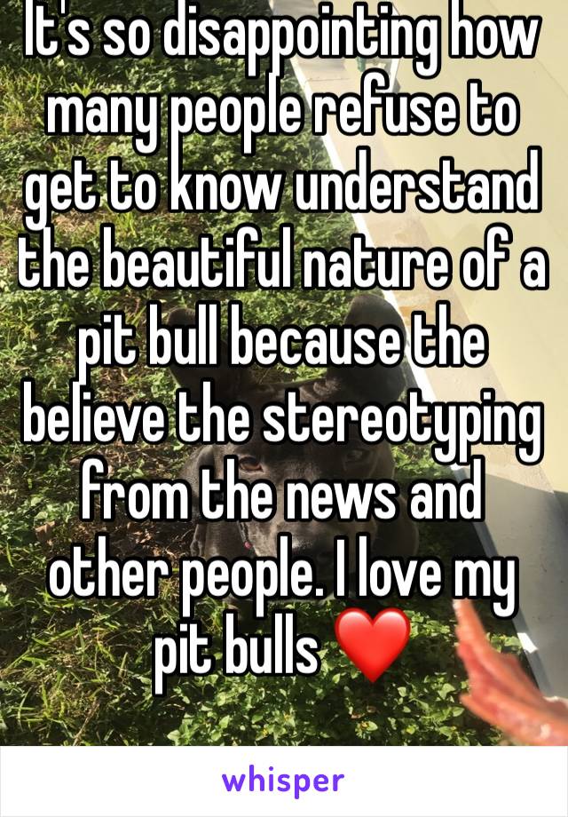 It's so disappointing how many people refuse to get to know understand the beautiful nature of a pit bull because the believe the stereotyping from the news and other people. I love my pit bulls ❤️