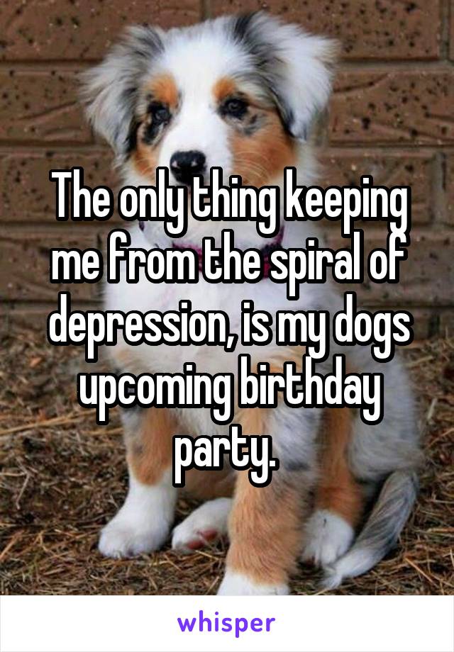 The only thing keeping me from the spiral of depression, is my dogs upcoming birthday party. 