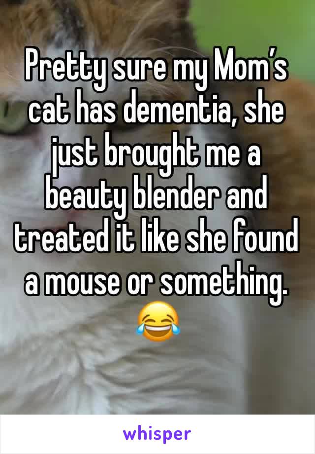 Pretty sure my Mom’s cat has dementia, she just brought me a beauty blender and treated it like she found a mouse or something. 😂