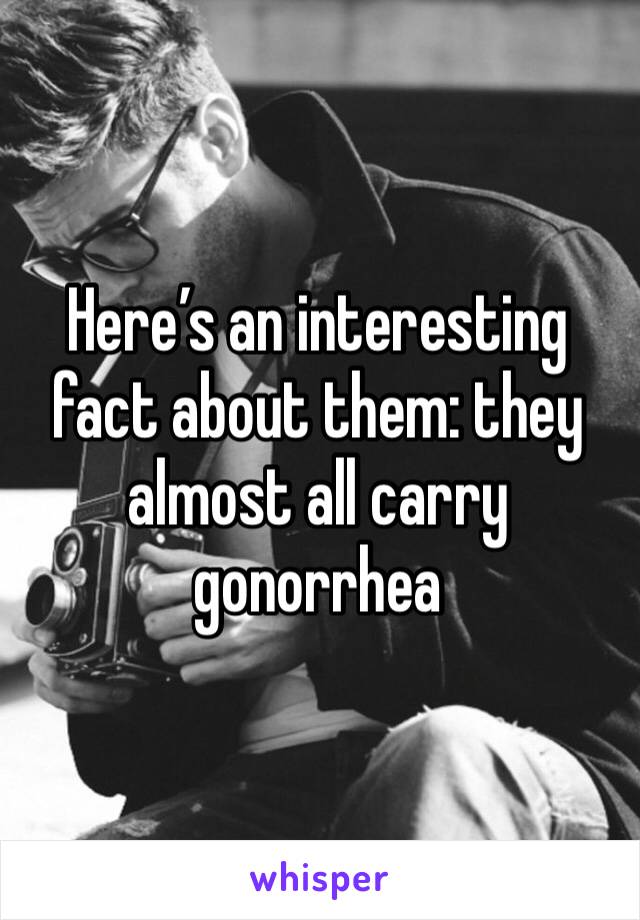 Here’s an interesting fact about them: they almost all carry gonorrhea 