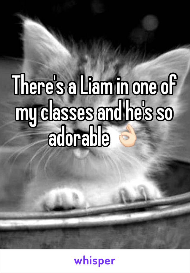 There's a Liam in one of my classes and he's so adorable 👌🏻