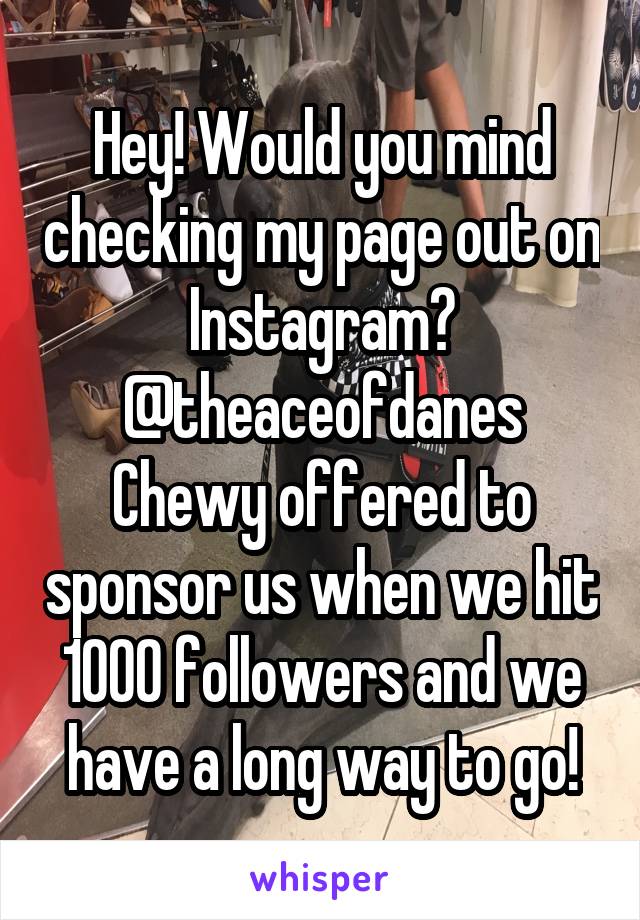 Hey! Would you mind checking my page out on Instagram? @theaceofdanes
Chewy offered to sponsor us when we hit 1000 followers and we have a long way to go!