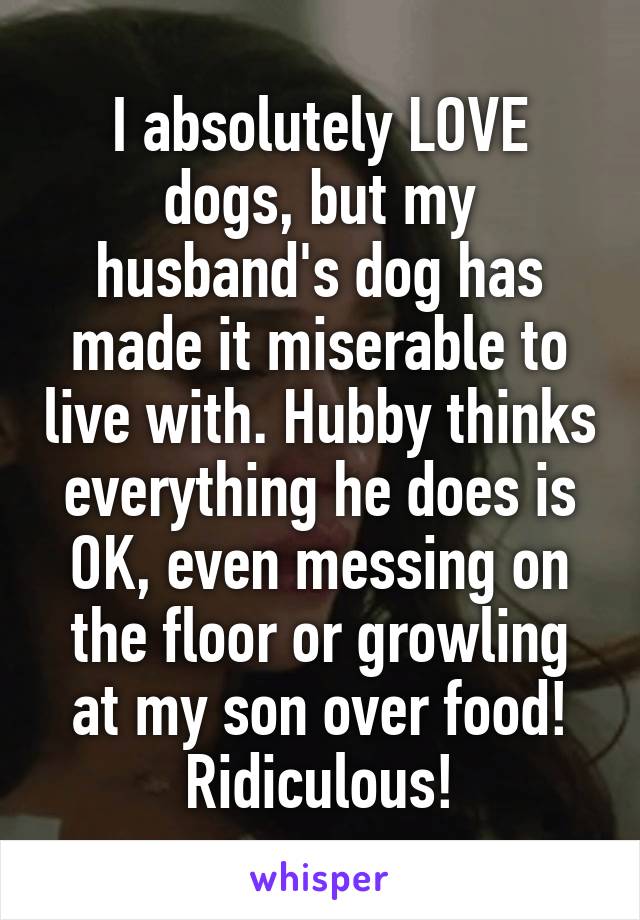 I absolutely LOVE dogs, but my husband's dog has made it miserable to live with. Hubby thinks everything he does is OK, even messing on the floor or growling at my son over food! Ridiculous!