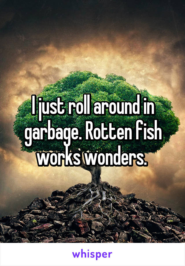 I just roll around in garbage. Rotten fish works wonders. 