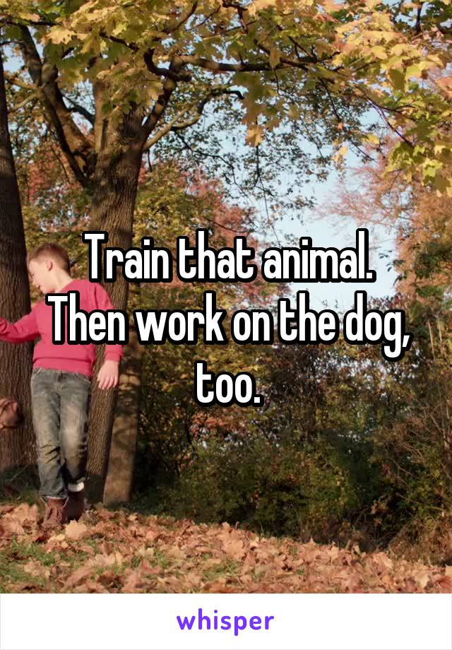 Train that animal.
Then work on the dog, too.