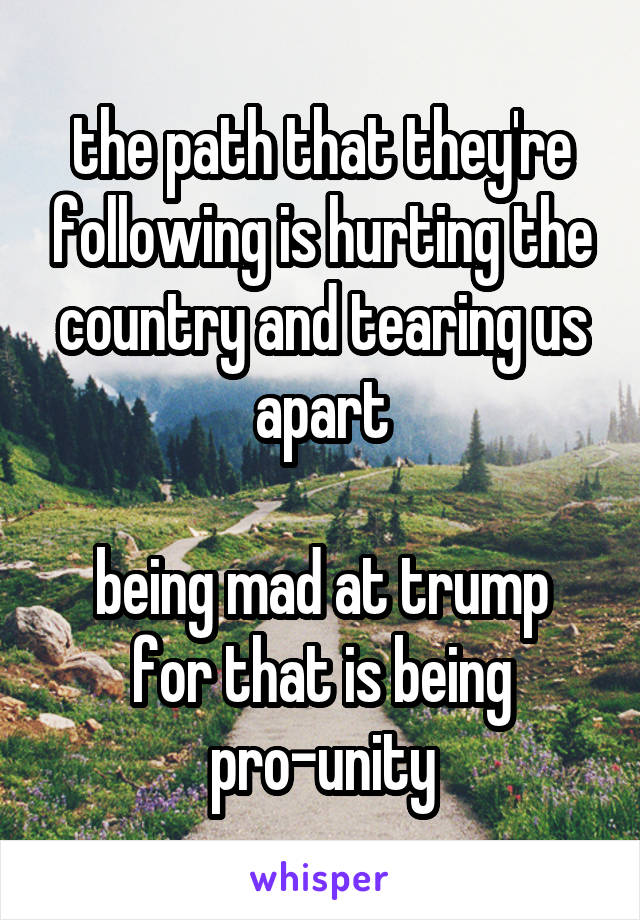 the path that they're following is hurting the country and tearing us apart

being mad at trump for that is being pro-unity