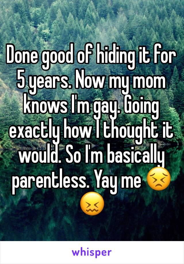 Done good of hiding it for 5 years. Now my mom knows I'm gay. Going exactly how I thought it would. So I'm basically parentless. Yay me 😣😖