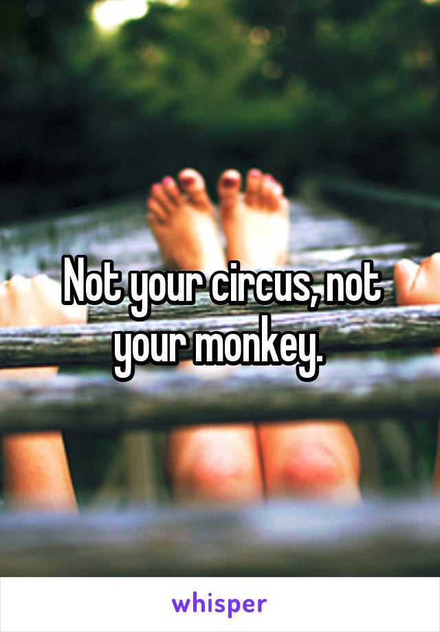 Not your circus, not your monkey. 