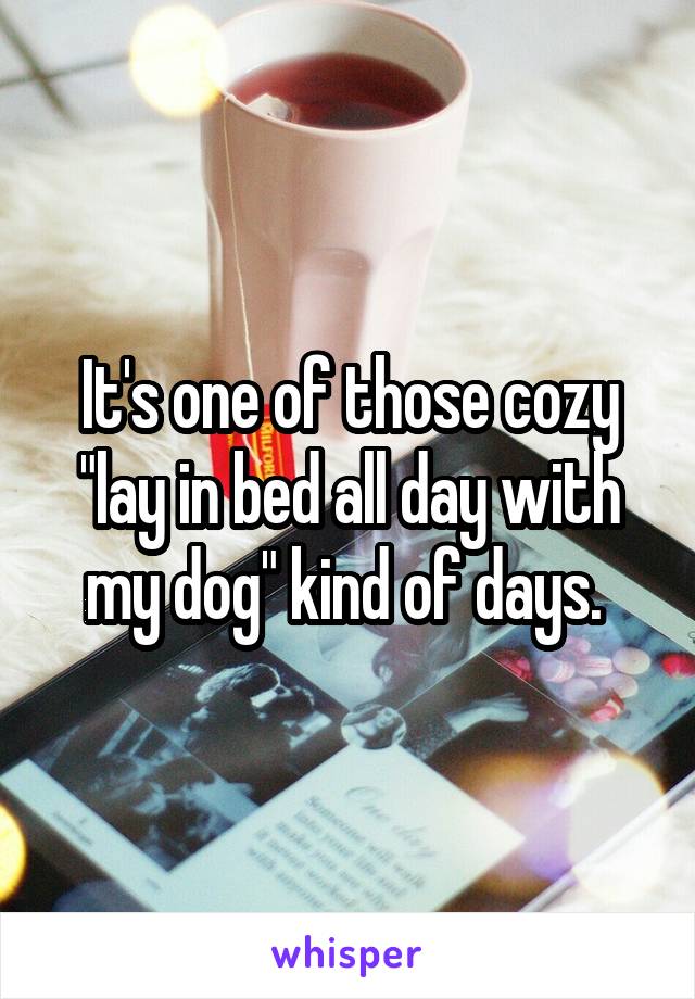 It's one of those cozy "lay in bed all day with my dog" kind of days. 