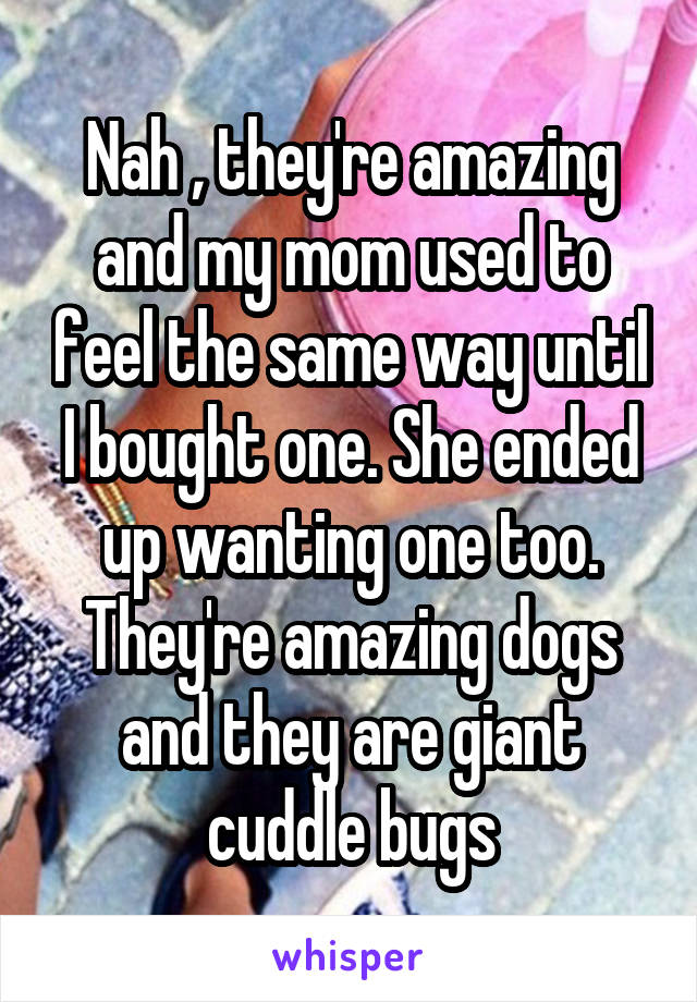 Nah , they're amazing and my mom used to feel the same way until I bought one. She ended up wanting one too. They're amazing dogs and they are giant cuddle bugs