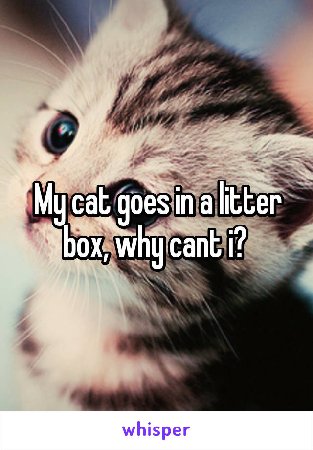 My cat goes in a litter box, why cant i? 