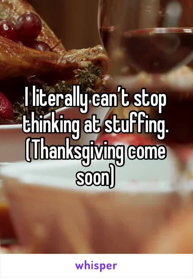 I literally can’t stop thinking at stuffing.(Thanksgiving come soon)