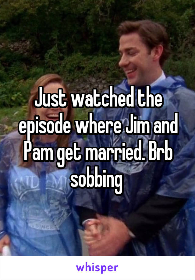 Just watched the episode where Jim and Pam get married. Brb sobbing 