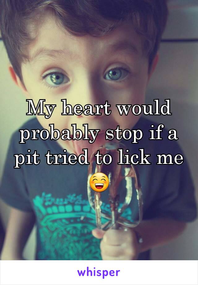 My heart would probably stop if a pit tried to lick me 😁