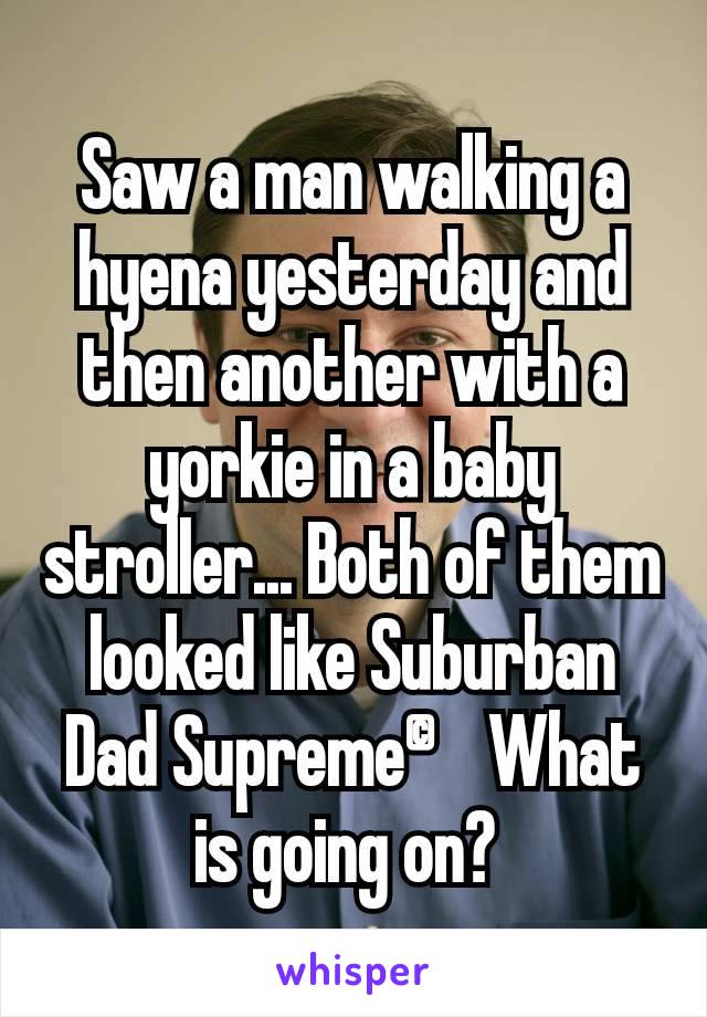 Saw a man walking a hyena yesterday and then another with a yorkie in a baby stroller... Both of them looked like Suburban Dad Supreme©What is going on? 