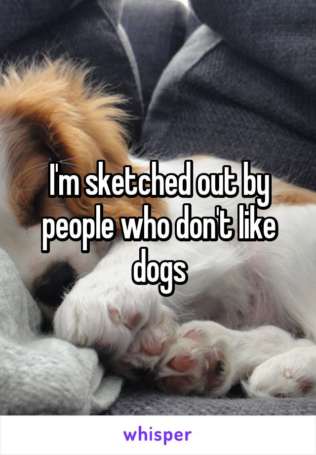 I'm sketched out by people who don't like dogs