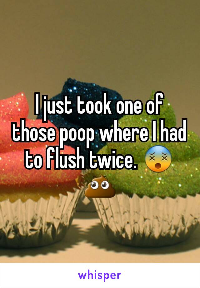 I just took one of those poop where I had to flush twice. 😵💩