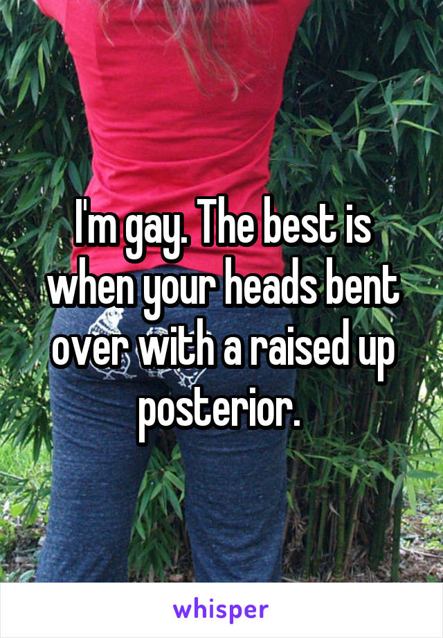 I'm gay. The best is when your heads bent over with a raised up posterior. 