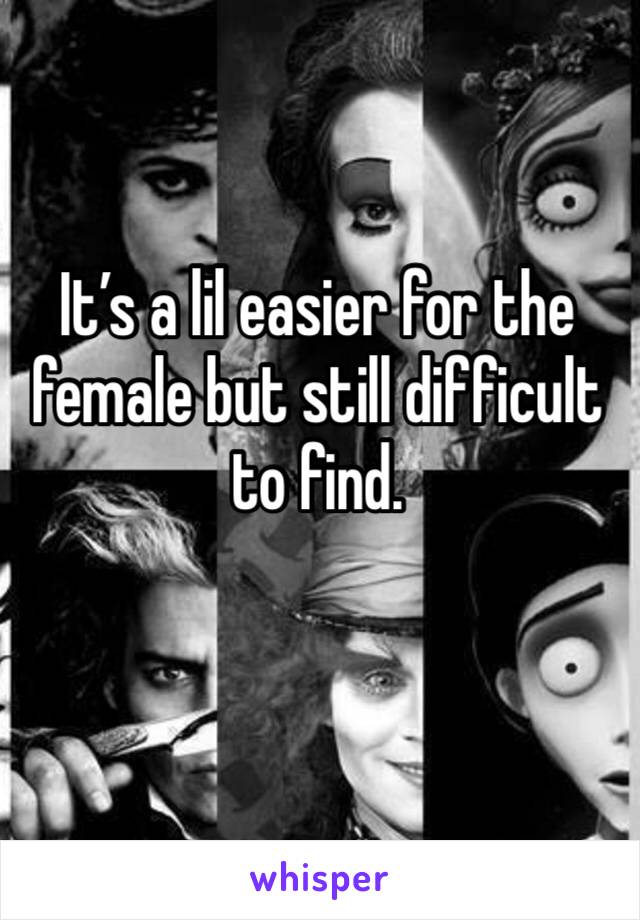 It’s a lil easier for the female but still difficult to find. 