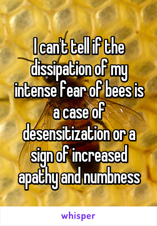 I can't tell if the dissipation of my intense fear of bees is a case of desensitization or a sign of increased apathy and numbness