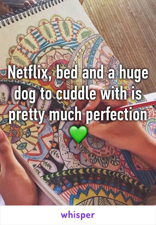 Netflix, bed and a huge dog to cuddle with is pretty much perfection 💚