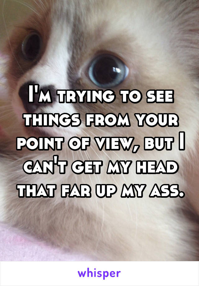 I'm trying to see things from your point of view, but I can't get my head that far up my ass.