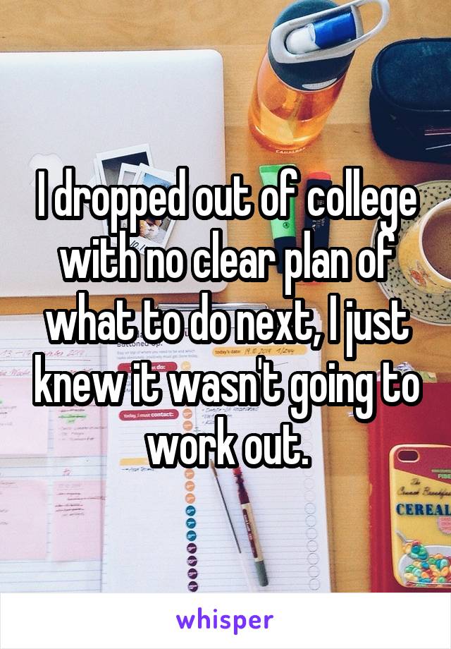 I dropped out of college with no clear plan of what to do next, I just knew it wasn't going to work out.