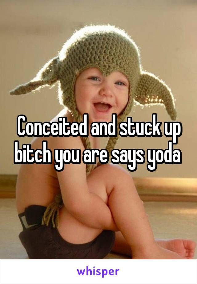Conceited and stuck up bitch you are says yoda 