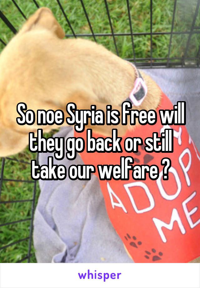 So noe Syria is free will they go back or still take our welfare ?