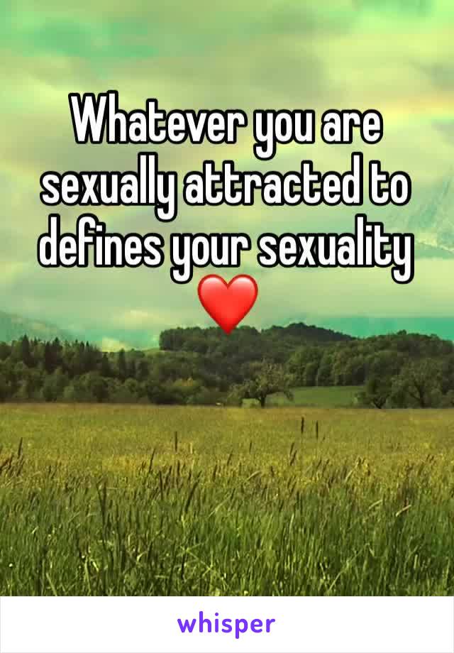 Whatever you are sexually attracted to defines your sexuality 
❤️