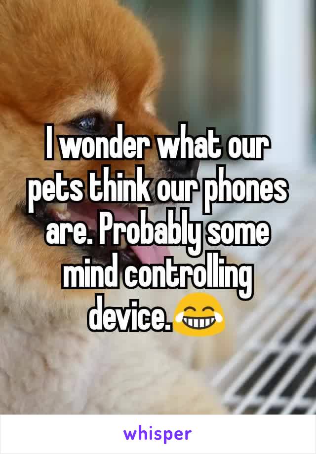 I wonder what our pets think our phones are. Probably some mind controlling device.😂