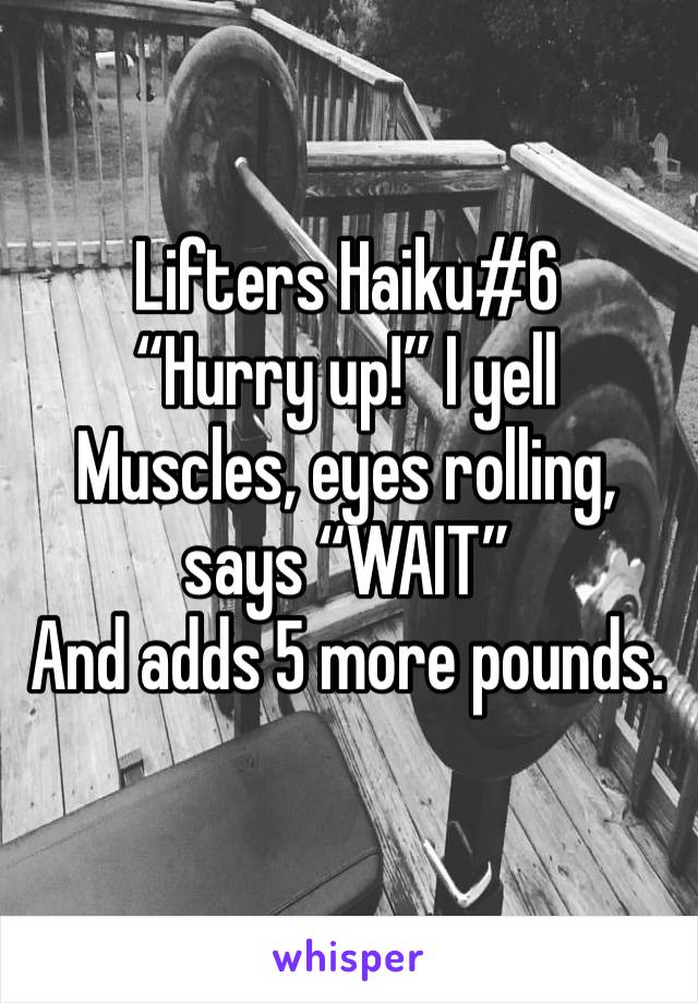 Lifters Haiku#6
“Hurry up!” I yell
Muscles, eyes rolling, says “WAIT”
And adds 5 more pounds.